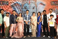 Gum Gum Ganesha Movie Pre Release Event Photos